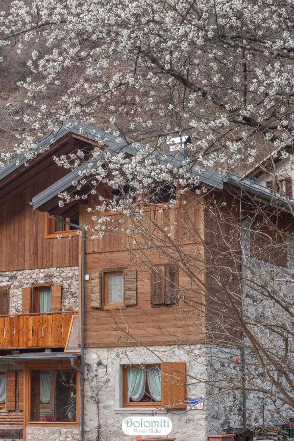 Dolomiti Riverside Perarolo di Cadore 외부 사진